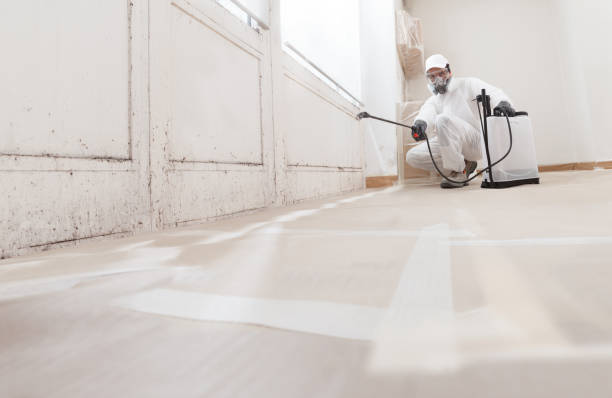 24/7 Emergency Attic Mold Removal experts in Partlow, VA